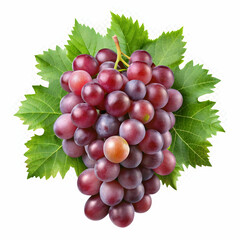Fototapeta premium A bunch of grapes isolated on a transparent background, displaying plump, juicy purple or green grapes.