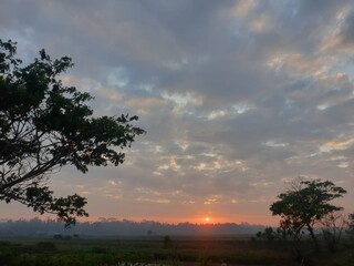 Fototapeta premium sunset in the serengeti country