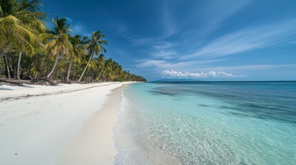 Serene Tropical Beach Paradise: Palm Trees, White Sand, and Turquoise Waters