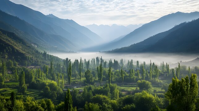Wide-angle shot of Pe serene Ziarat Valley wiP its lush green juniper forests glowing under soft morning mist, in 4K resolution