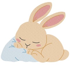 Flat illustration Cute rabbit sleeping on white background