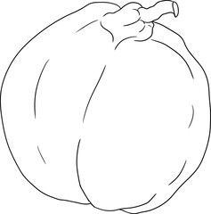 Vector, line Quince apple fruits whole and half cut, tropic farm garden ripe harvest, exotic fruits dessert	