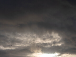 Obraz premium The sky is filled with fluffy clouds, and the sun is peeking through them, creating a beautiful and calming scene. The clouds are scattered throughout the sky, with some closer to the horizon