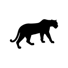 Obraz premium Florida panther silhouette vector illustration design on white background.