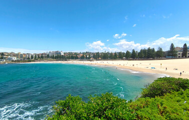 Beach with tanning people in countryside of  Australia Sydney