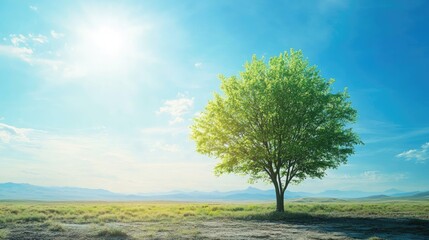 A resilient green tree in a desert landscape under a bright blue sky, representing the beauty of environmental sustainability.