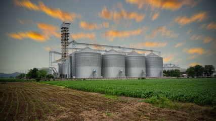 silos granary elevator with seeds manufacturing plant for processing. Silos in rye corn or wheat field © Yellow Boat