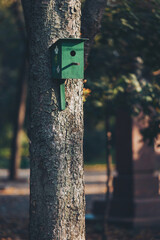 Birdhouse in a beautiful forest. House for birds handmade. Fairy birdhouse in an incredible forest. Wooden green birdhouse is on the tree. 