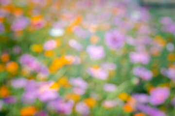A blurry image of a field of flowers with a mix of purple and orange flowers. The image has a dreamy, ethereal quality to it, as if it were captured in a moment of stillness