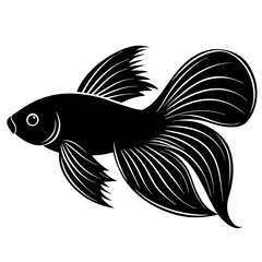 Minimalist simple Betta fish vector art illustration