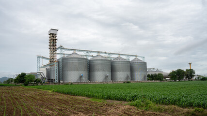 silos granary elevator with seeds manufacturing plant for processing. Silos in rye corn or wheat field