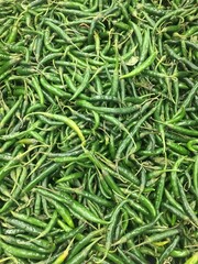 Group of green chilli. Green chillies closeup image  