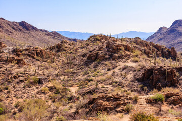 A desert landscape with a few cacti and a small building