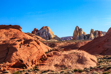 A desert landscape with a mountain range in the background