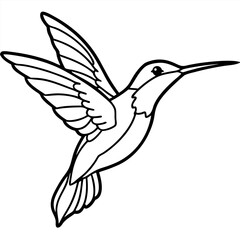 illustration of a bird