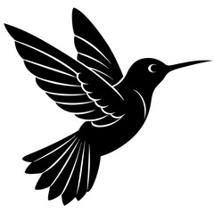vector
