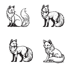 Elegant Fox Illustrations