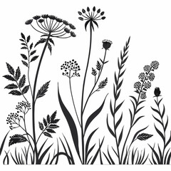 Seamless vector floral border featuring hand-drawn black and white herbs and wildflowers.