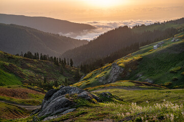 Mountain landscape with blooming plants, sunrise or sunset and clouds in the background. Concept of beautiful nature and view of the valley in Adjara, Georgia.