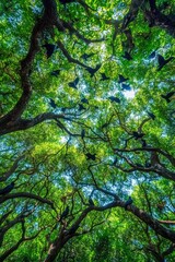 Fototapeta premium A vibrant canopy of green leaves and branches viewed from below, showcasing nature's beauty.