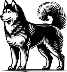 Siberian Husky vector black silhouette cricut design for T-shirt