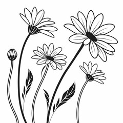 A vector seamless pattern featuring black outline Gerbera flowers on a white background, perfect for design projects.