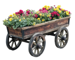rustic wooden garden cart filled with vibrant red and yellow flowers, isolated on transparency background, showcasing charming and colorful floral display