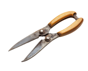 pair of vintage pruning shears with wooden handles and rusted metal blades isolated on transparency background, showcasing rustic and aged appearance