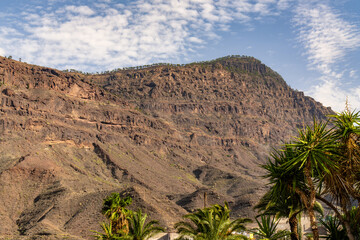 A mountain range with a few palm trees in the foreground