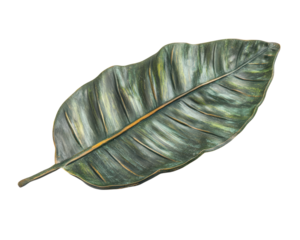 realistic depiction of Amazonian palm leaf, isolated on transparency background, showcasing its vibrant green hues and detailed texture