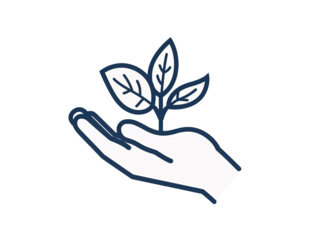 a hand holding a plant