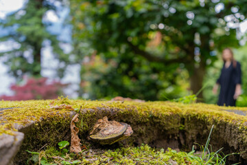 Serene Nature Scene with a mossy ground and a figure elegantly