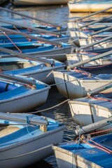 Rowboats on Calm Water