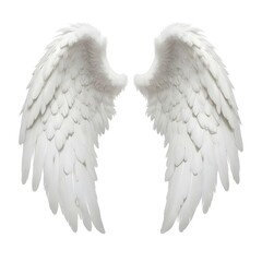Obraz premium A pair of large, fluffy white angel wings