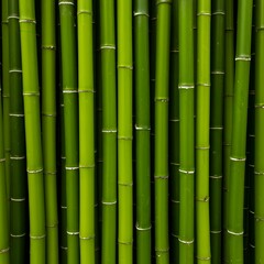 High-resolution photo of dense green bamboo stalks. Smooth textures and vibrant shades create a lush, symmetrical, and organic composition.
