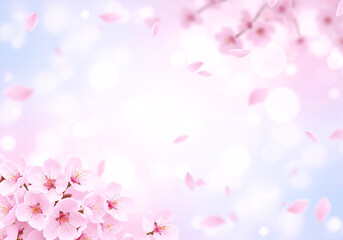 Obraz premium Pastel Cherry Blossom Corner Frame