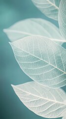 Obraz premium Turquoise leaf texture illustration poster background