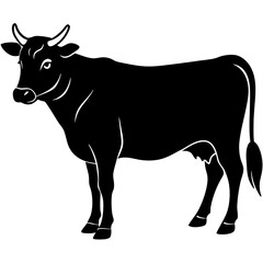 Cow Silhouette On White Background
