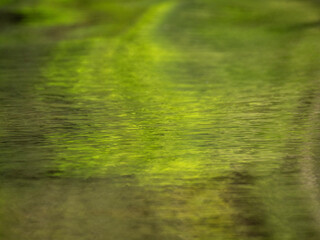 An abstract painting of nature. Created by the Amazon, the light and the trees and plants of the rainforest.