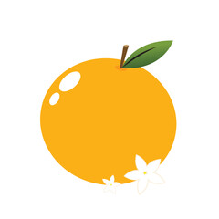 Mandarin orange on white background vector - illustration. Chinese New Year Mandarin Orange.