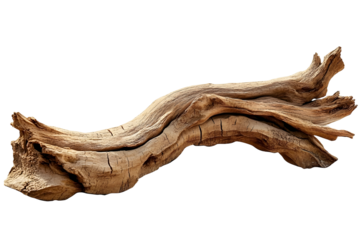 Curved dry wood from the desert isolated on transparency photo png file