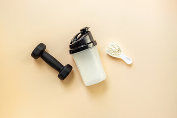 Protein shaker for sports nutrition. Whey protein powder in a scoop, top view