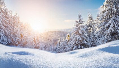 Obraz premium Winter solstice concept. Beautiful snowy picturesque forest landscape with snow