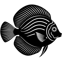 Discus Fish Silhouette On White Background