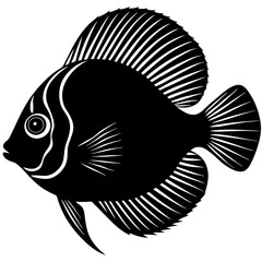 Discus Fish Silhouette On White Background