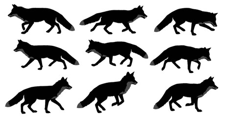 set of fox silhouette on white background isolated vector.