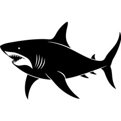 Fototapeta premium Great Shark Silhouette On White Background