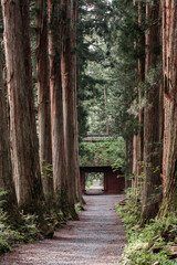 戸隠神社参道・随神門と杉並木