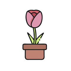 tulips in a pot