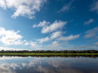 Amazon river landscape.